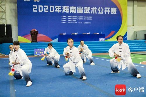 2020年海南省武术公开赛屯昌开赛 35支队伍数百名运动员同台竞技